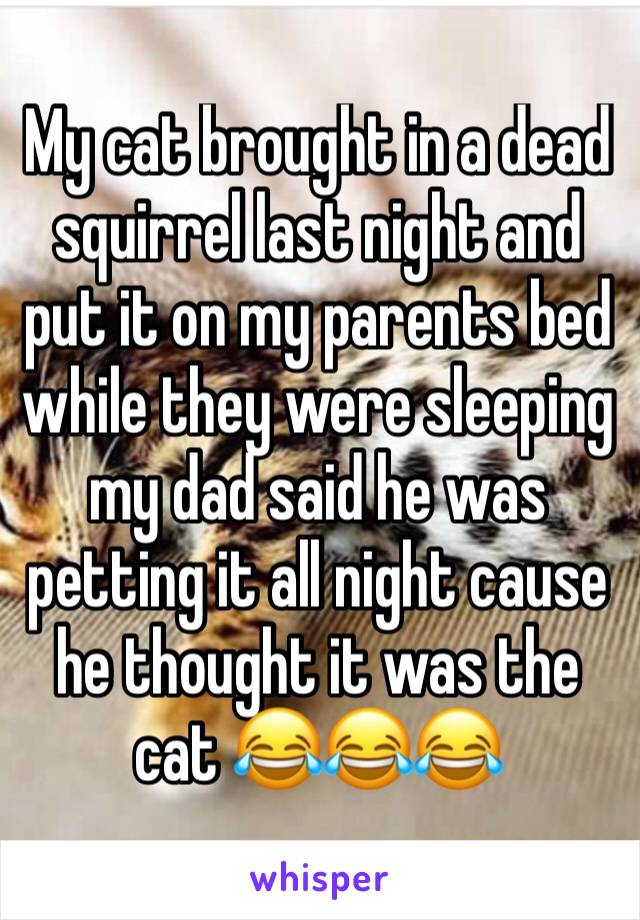 My cat brought in a dead squirrel last night and put it on my parents bed while they were sleeping my dad said he was petting it all night cause he thought it was the cat 😂😂😂