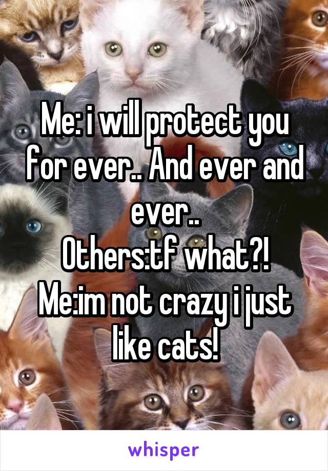 Me: i will protect you for ever.. And ever and ever..
Others:tf what?!
Me:im not crazy i just like cats!