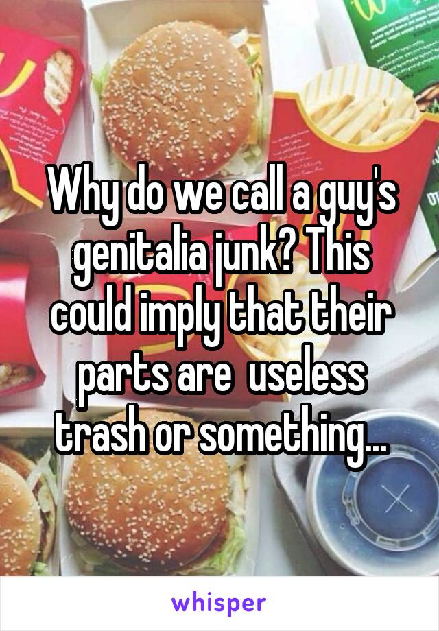 Why do we call a guy's genitalia junk? This could imply that their parts are  useless trash or something...