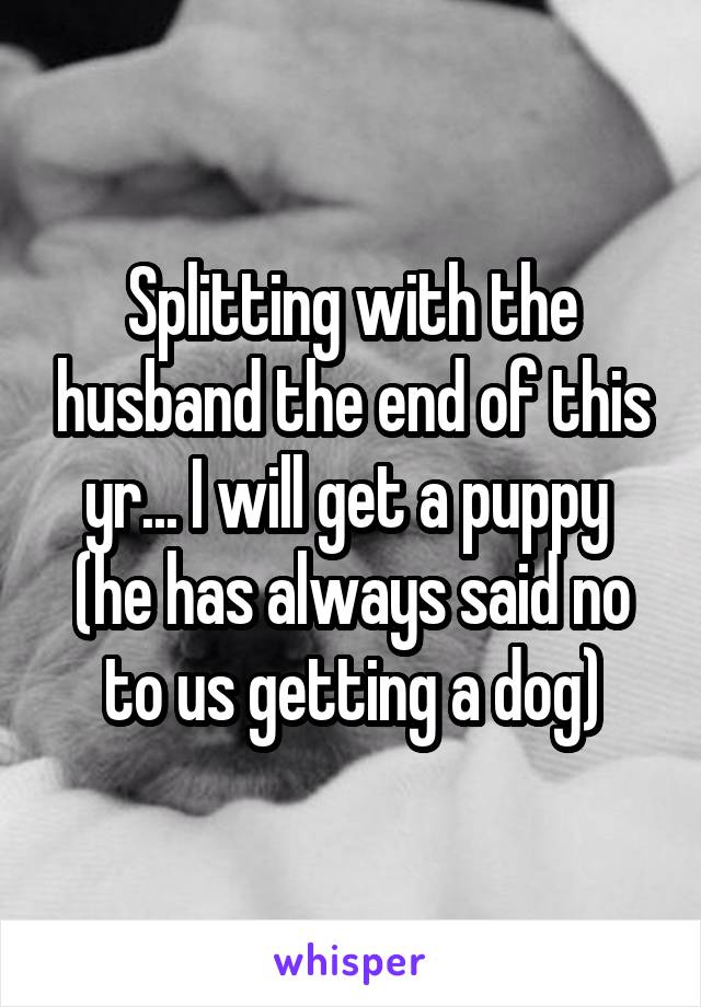 Splitting with the husband the end of this yr... I will get a puppy  (he has always said no to us getting a dog)