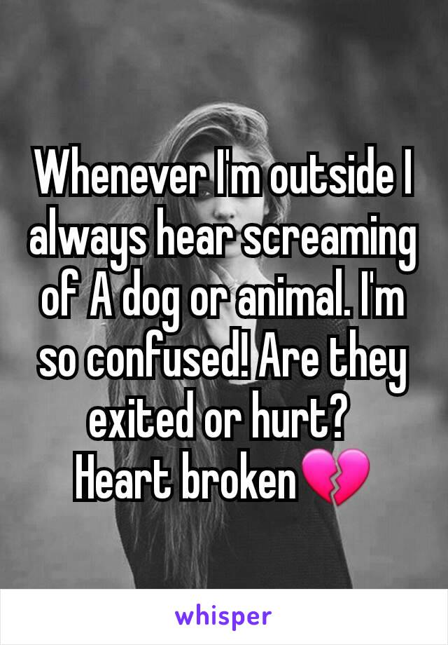 Whenever I'm outside I always hear screaming of A dog or animal. I'm so confused! Are they exited or hurt? 
Heart broken💔