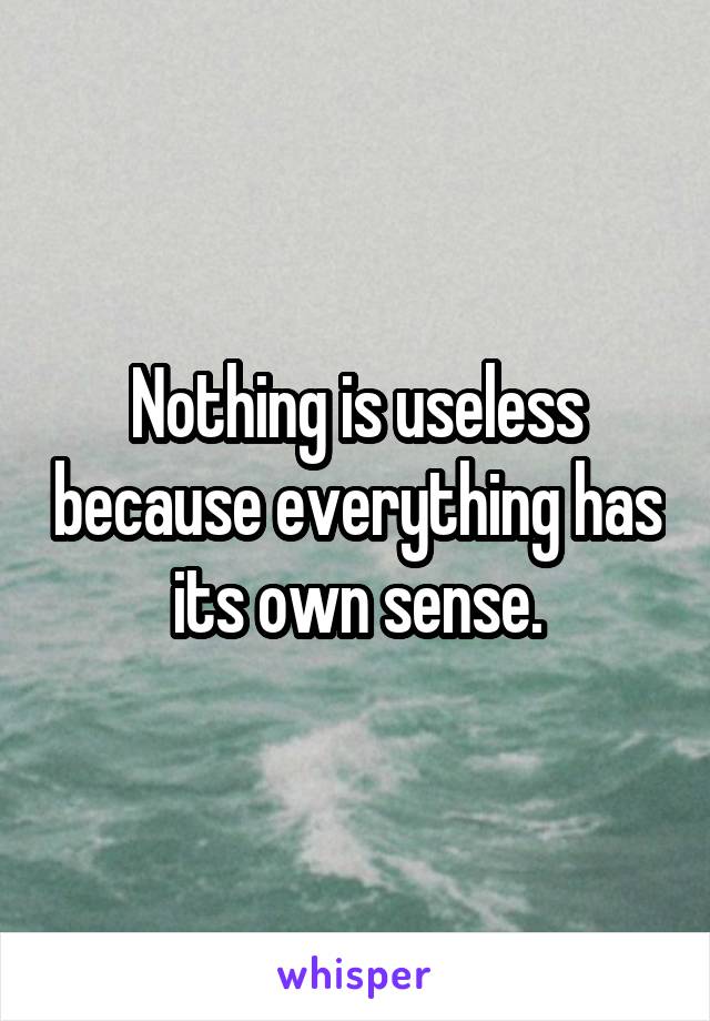 Nothing is useless because everything has its own sense.