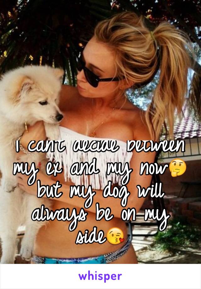 I can't decide between my ex and my now🤔 but my dog will always be on my side😘