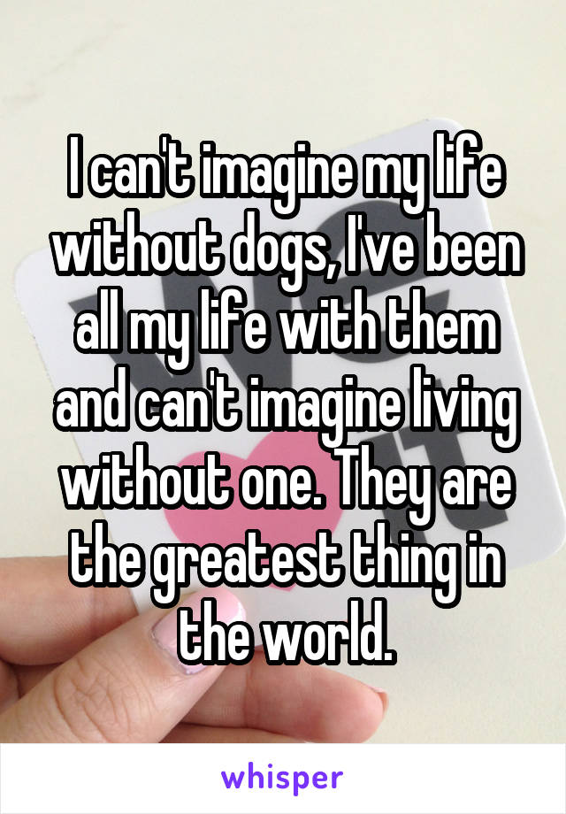 I can't imagine my life without dogs, I've been all my life with them and can't imagine living without one. They are the greatest thing in the world.