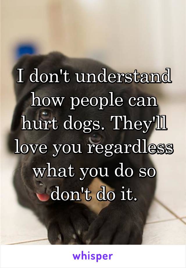 I don't understand how people can hurt dogs. They'll love you regardless what you do so don't do it.