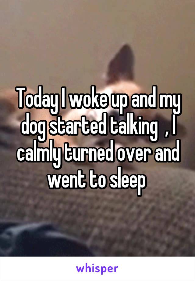 Today I woke up and my dog started talking  , I calmly turned over and went to sleep 