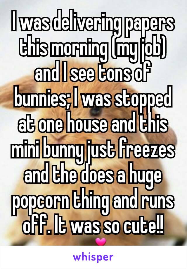 I was delivering papers this morning (my job) and I see tons of bunnies; I was stopped at one house and this mini bunny just freezes and the does a huge popcorn thing and runs off. It was so cute!! 💕