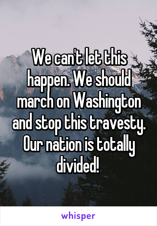 We can't let this happen. We should march on Washington and stop this travesty. Our nation is totally divided! 