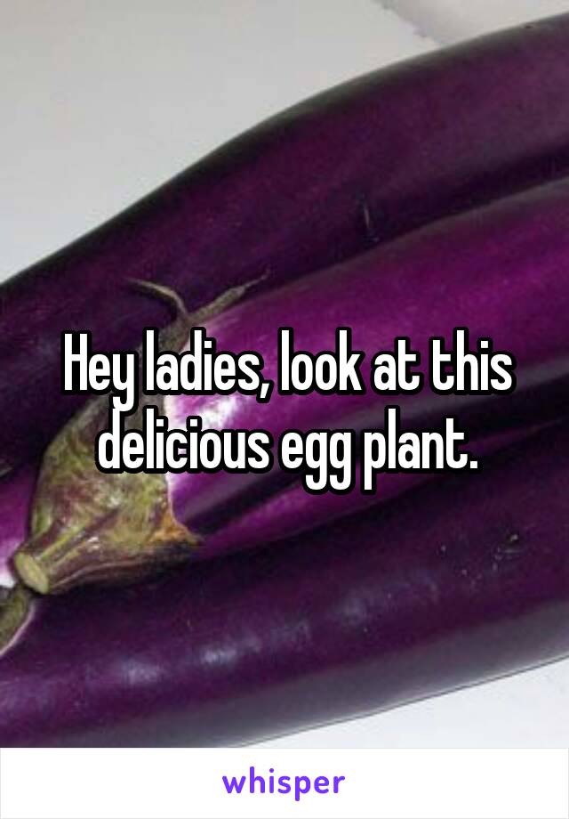 Hey ladies, look at this delicious egg plant.