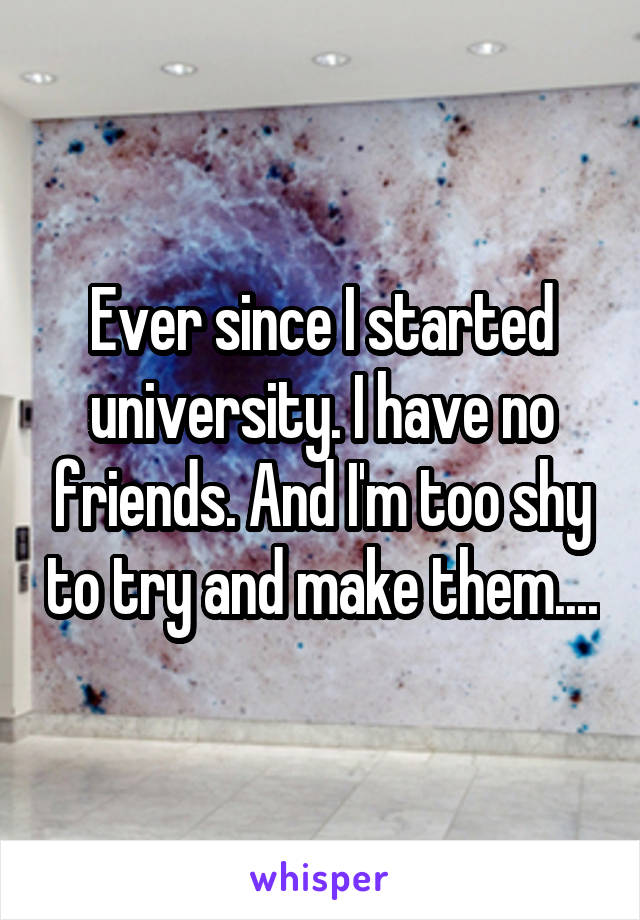 Ever since I started university. I have no friends. And I'm too shy to try and make them....