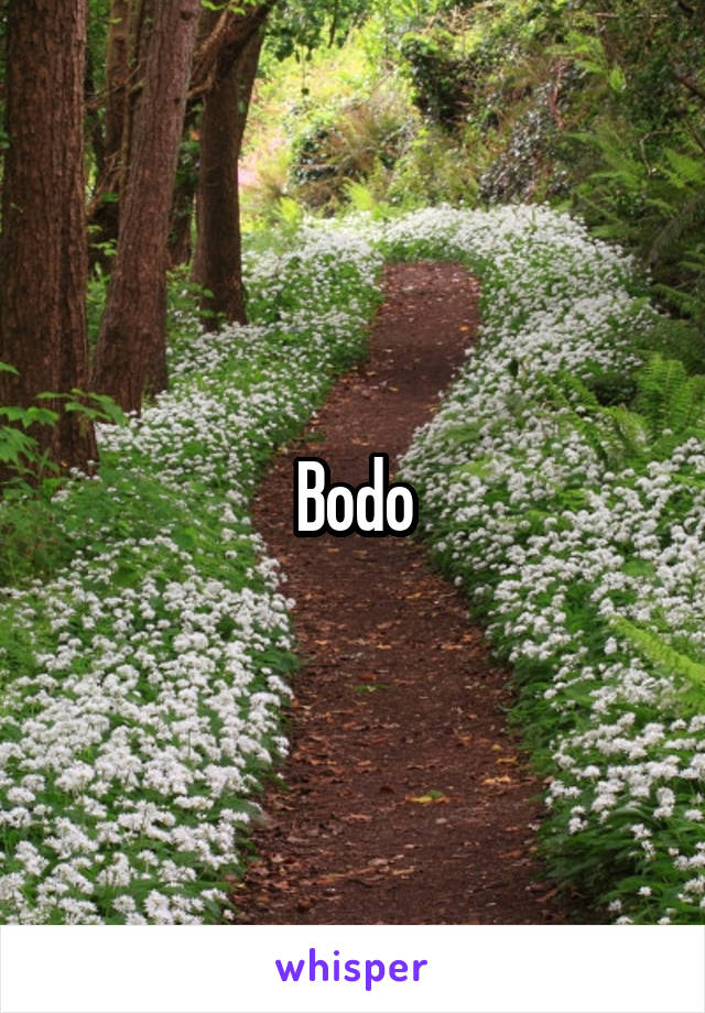 Bodo