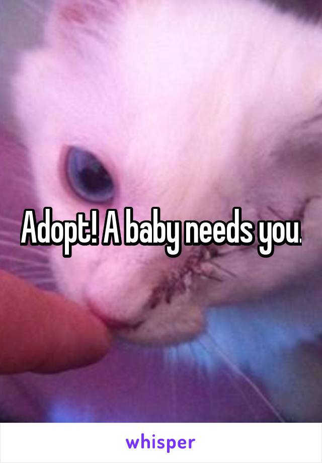 Adopt! A baby needs you.