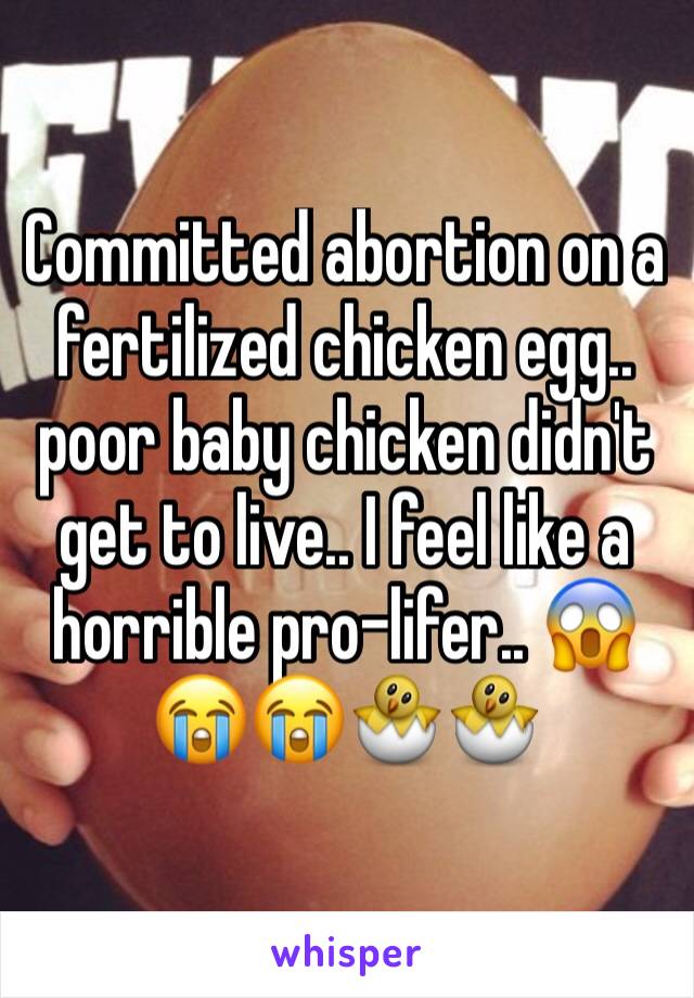 Committed abortion on a fertilized chicken egg.. poor baby chicken didn't get to live.. I feel like a horrible pro-lifer.. 😱😭😭🐣🐣