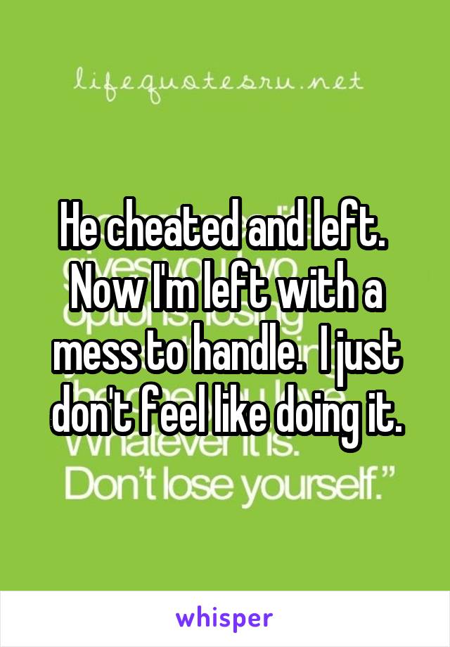 He cheated and left.  Now I'm left with a mess to handle.  I just don't feel like doing it.