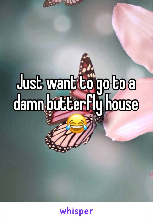 Just want to go to a damn butterfly house 😂