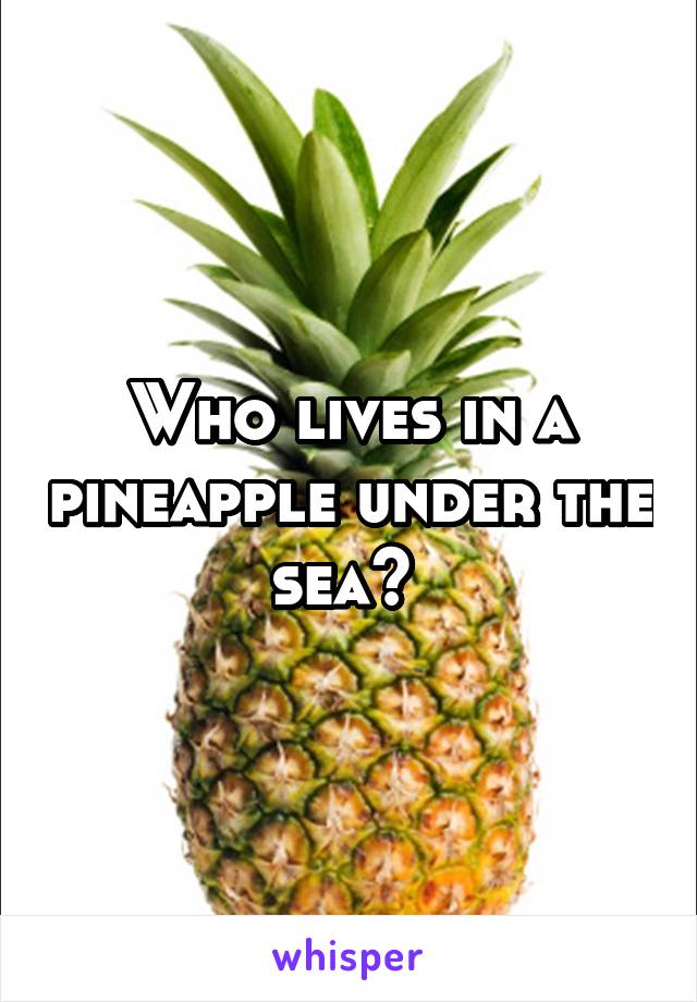 Who lives in a pineapple under the sea? 