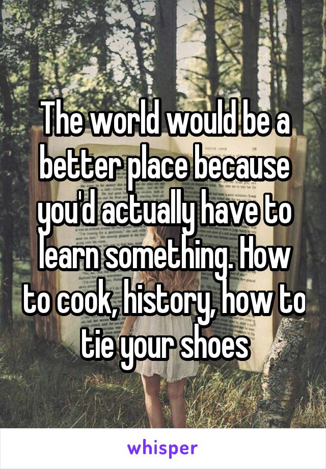 The world would be a better place because you'd actually have to learn something. How to cook, history, how to tie your shoes