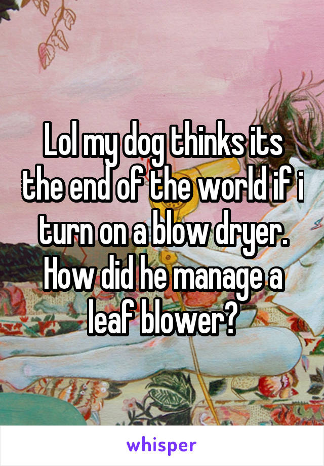 Lol my dog thinks its the end of the world if i turn on a blow dryer. How did he manage a leaf blower?