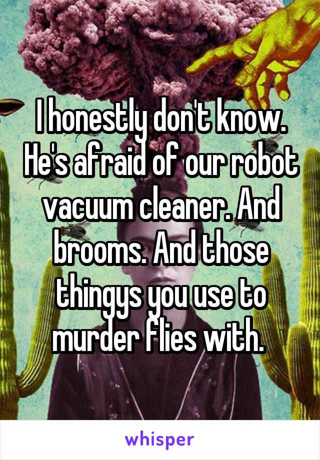 I honestly don't know. He's afraid of our robot vacuum cleaner. And brooms. And those thingys you use to murder flies with. 