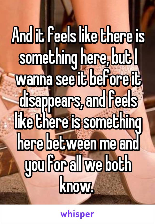 And it feels like there is something here, but I wanna see it before it disappears, and feels like there is something here between me and you for all we both know. 