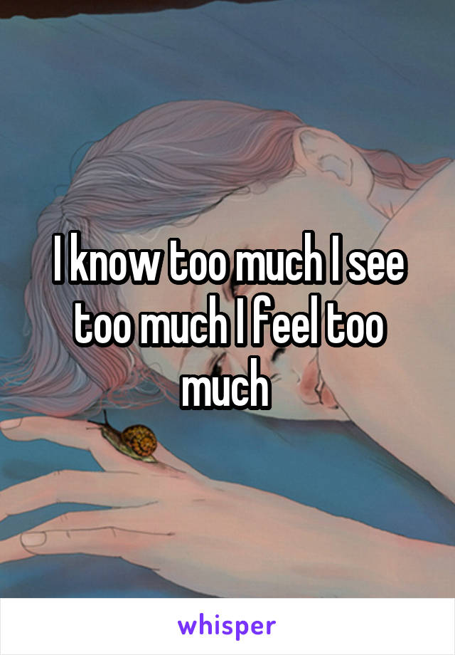 I know too much I see too much I feel too much 