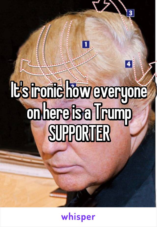 It's ironic how everyone on here is a Trump SUPPORTER