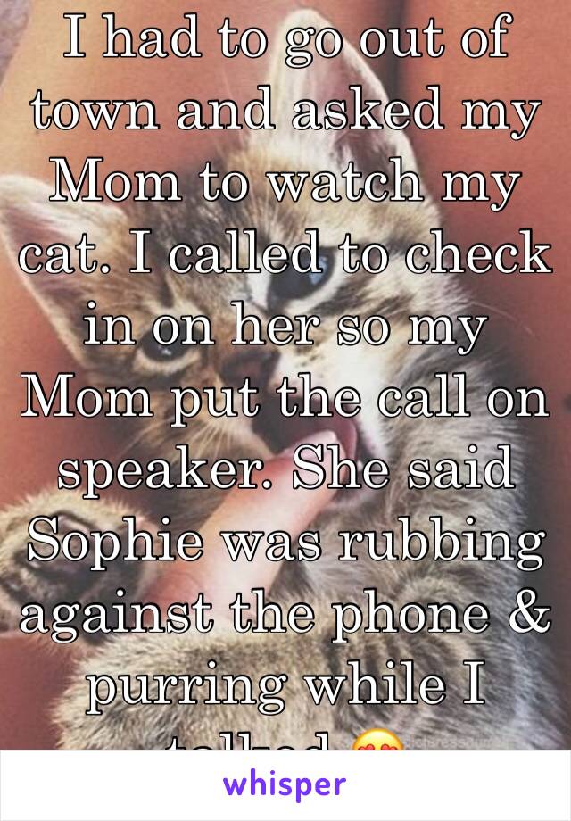 I had to go out of town and asked my Mom to watch my cat. I called to check in on her so my Mom put the call on speaker. She said Sophie was rubbing against the phone & purring while I talked 😍