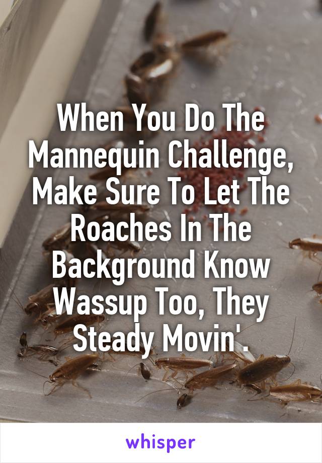 When You Do The Mannequin Challenge, Make Sure To Let The Roaches In The Background Know Wassup Too, They Steady Movin'.