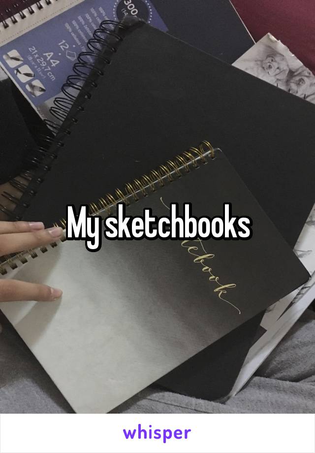 My sketchbooks