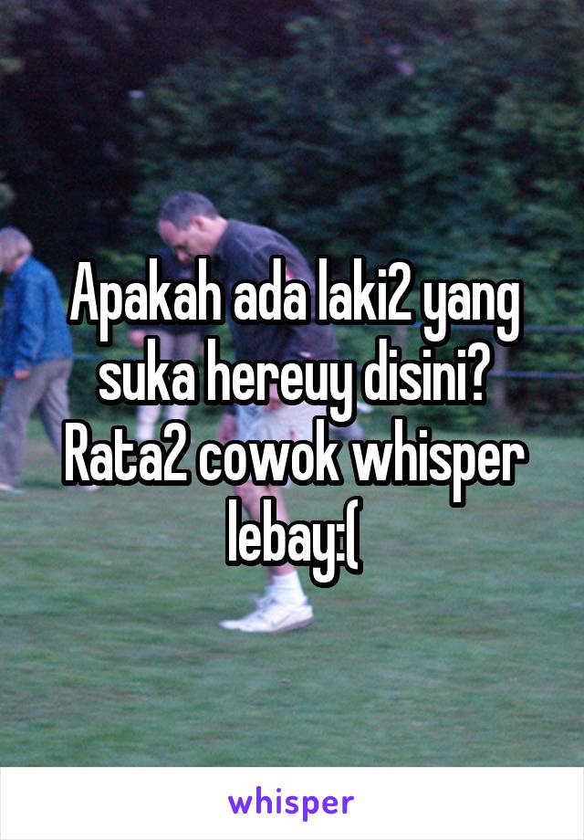 Apakah ada laki2 yang suka hereuy disini? Rata2 cowok whisper lebay:(