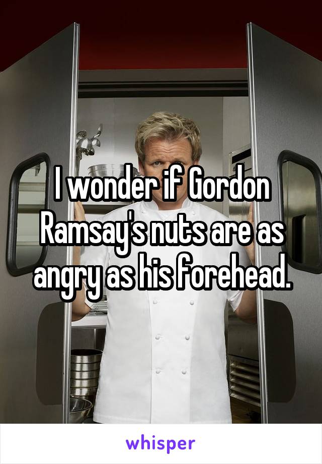 I wonder if Gordon Ramsay's nuts are as angry as his forehead.