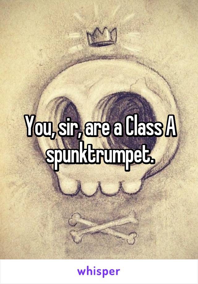 You, sir, are a Class A spunktrumpet.