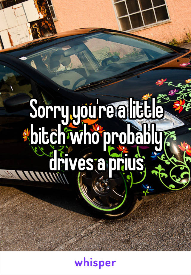 Sorry you're a little bitch who probably drives a prius