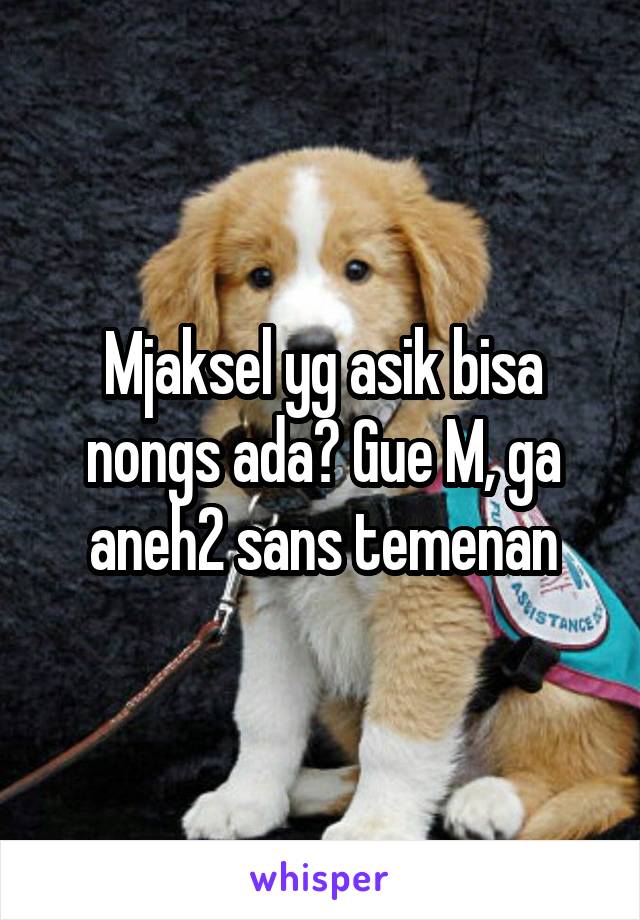 Mjaksel yg asik bisa nongs ada? Gue M, ga aneh2 sans temenan