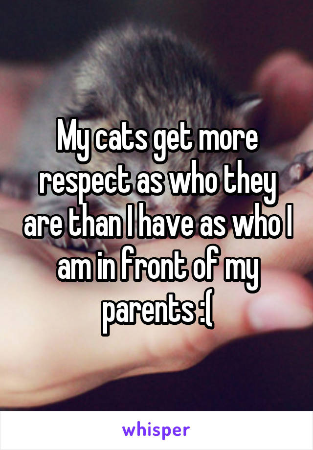 My cats get more respect as who they are than I have as who I am in front of my parents :(