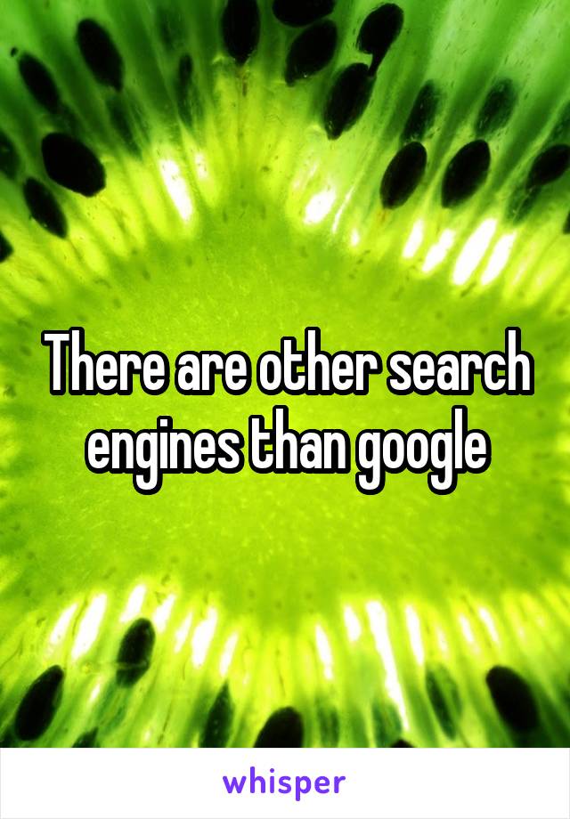 There are other search engines than google