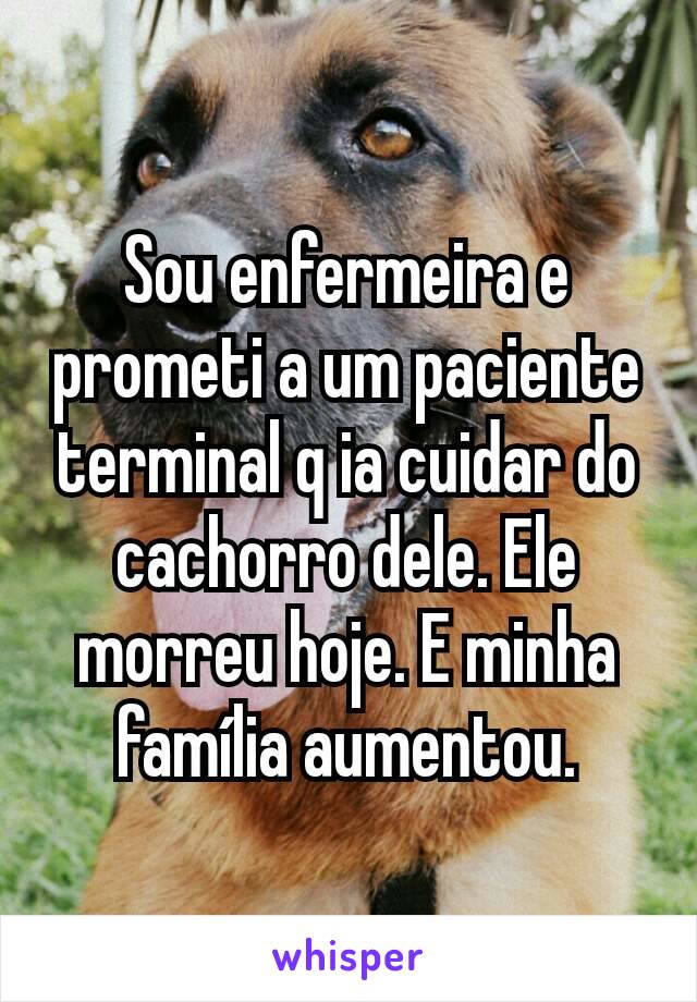 Sou enfermeira e prometi a um paciente terminal q ia cuidar do cachorro dele. Ele morreu hoje. E minha família aumentou.