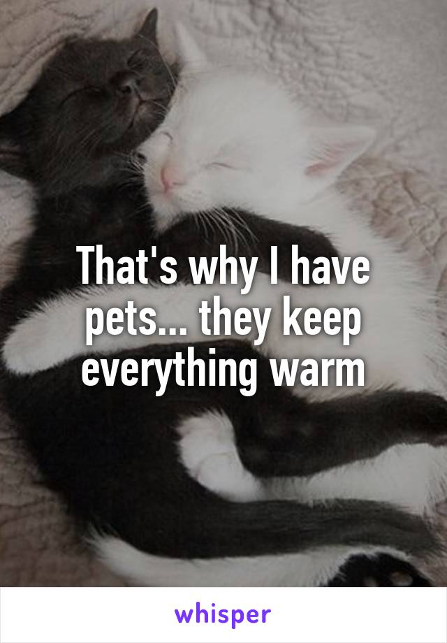 That's why I have pets... they keep everything warm