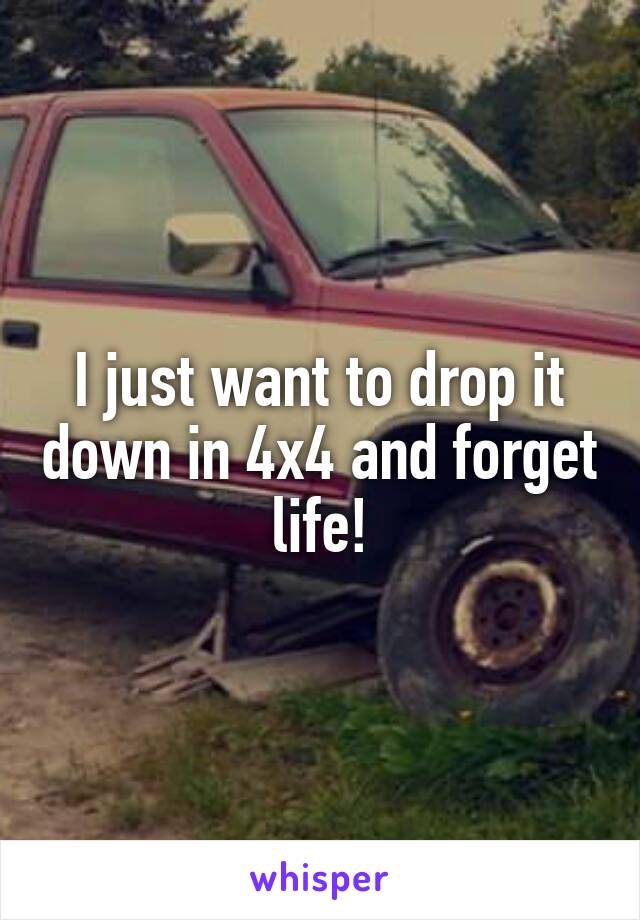 I just want to drop it down in 4x4 and forget life!