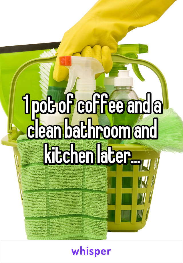 1 pot of coffee and a clean bathroom and kitchen later...