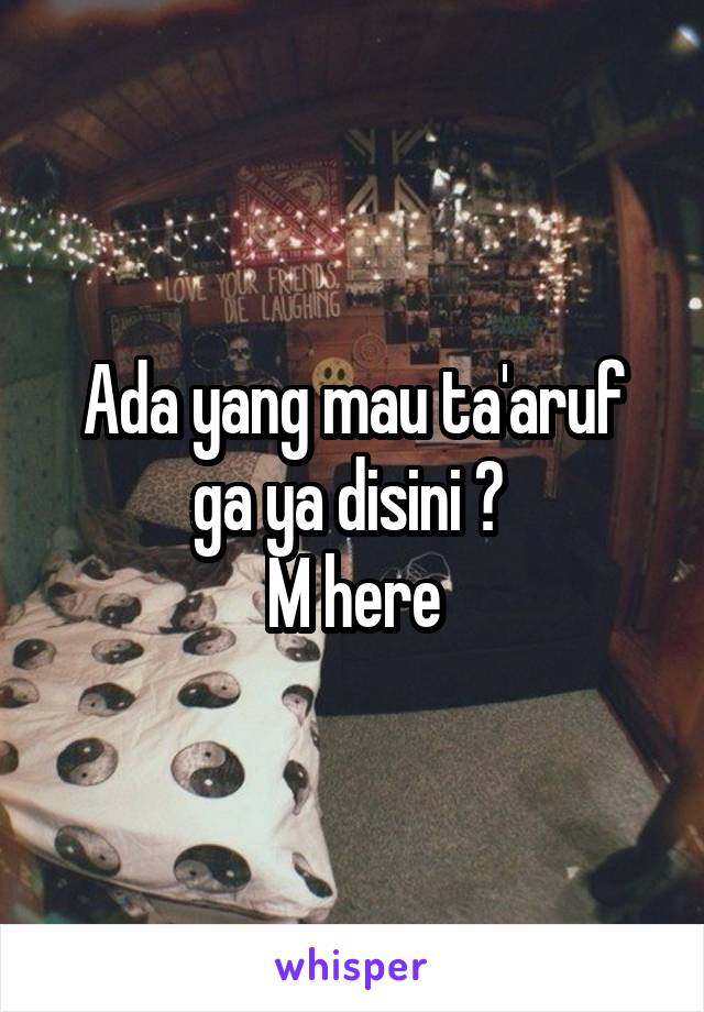 Ada yang mau ta'aruf ga ya disini ? 
M here