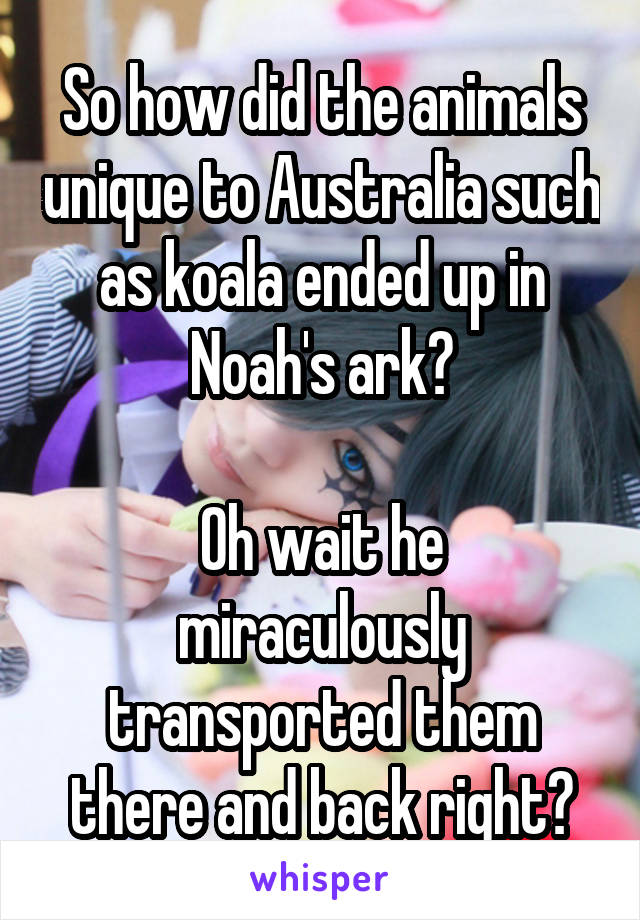 So how did the animals unique to Australia such as koala ended up in Noah's ark?

Oh wait he miraculously transported them there and back right?