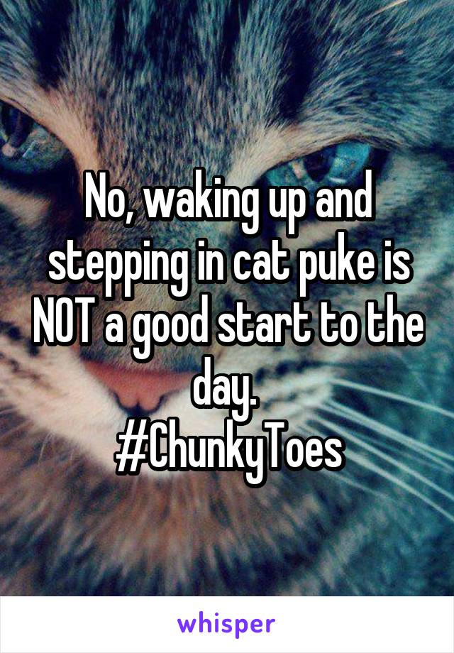 No, waking up and stepping in cat puke is NOT a good start to the day. 
#ChunkyToes