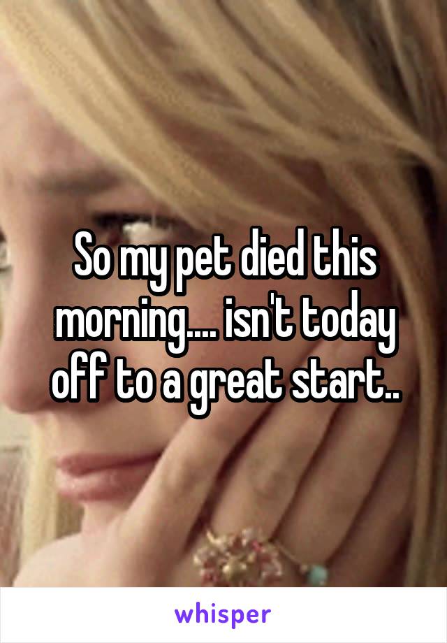 So my pet died this morning.... isn't today off to a great start..