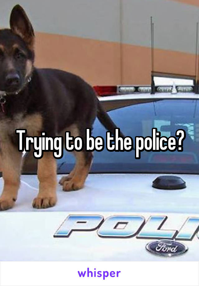 Trying to be the police?