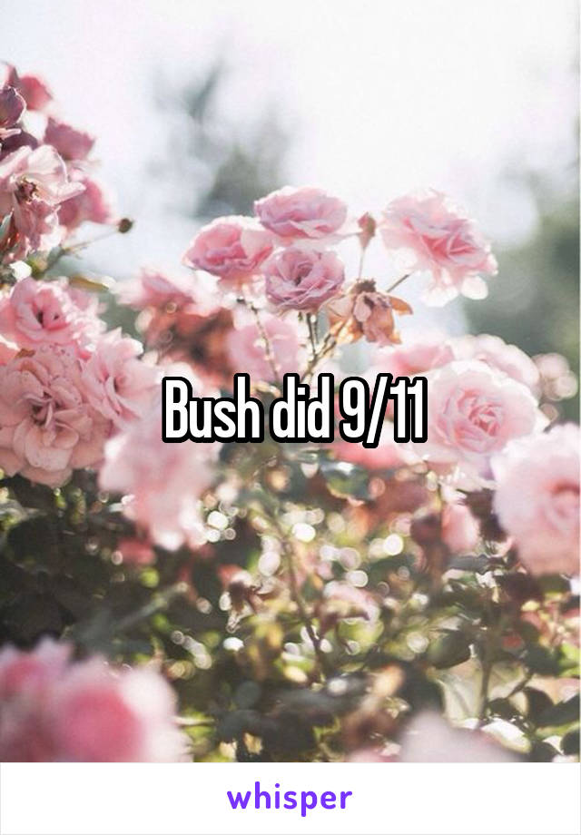 Bush did 9/11