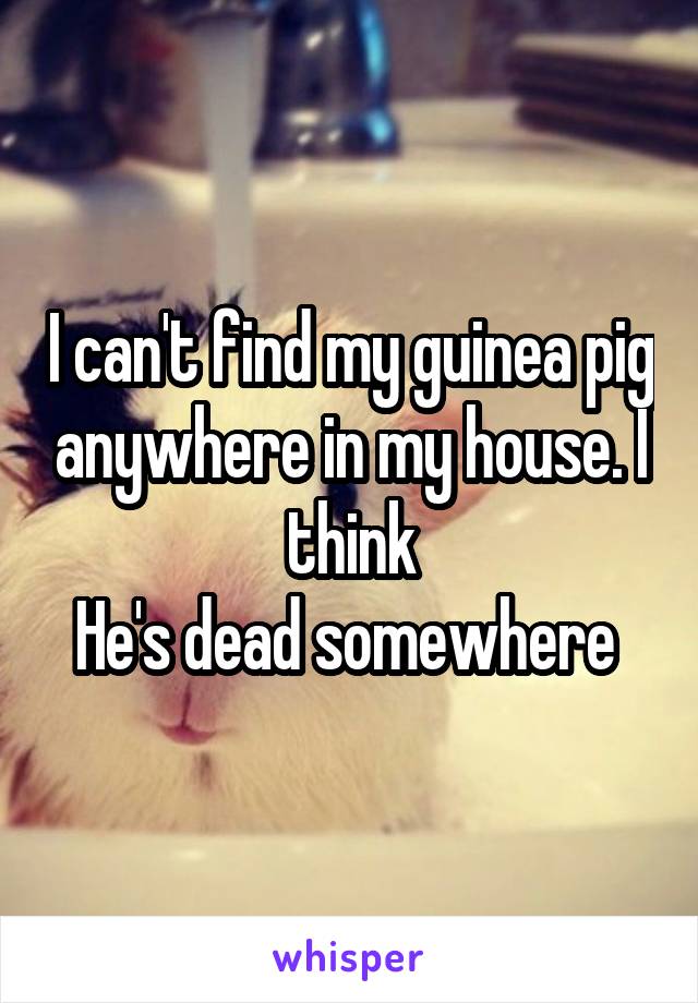 I can't find my guinea pig anywhere in my house. I think
He's dead somewhere 