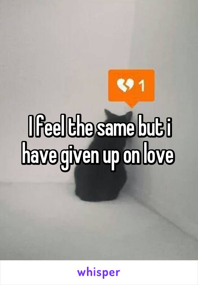 I feel the same but i have given up on love 