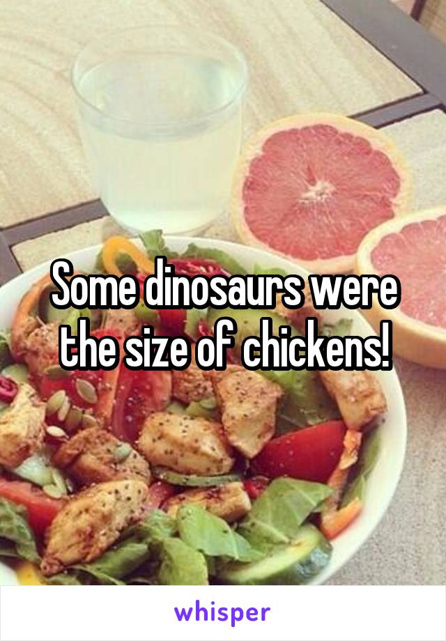 Some dinosaurs were the size of chickens!