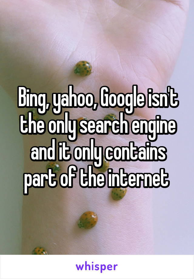 Bing, yahoo, Google isn't the only search engine and it only contains part of the internet 